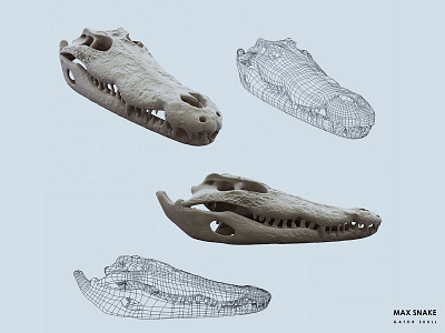 Gator Skull 3d alligator skull