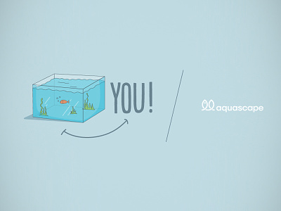 Tankyou aquarium aquascape aquascaping tankyou thank you