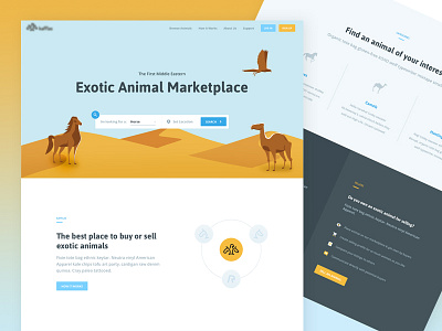 Exotic Animal Marketplace animals birds camel e commerce homepage horse innerpages layout uiux webdesign webpage website