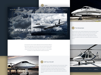 Aviation Services Web Portal aviation homepage innerpages layout pepperweb uiux webdesign webpage website