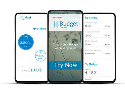 Budget app app bank branding budget minimal typography ui ux vector web