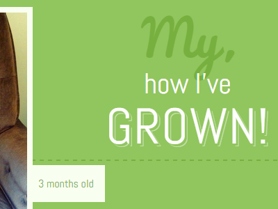 My how I've grown! css css3 flexbox layout responsive typography webfonts