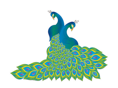 Peacock Illustrator by Shashank Tripathi on Dribbble