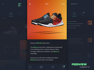 Feedview Concept v1 app concept gallery ios minimal popular social ui utility
