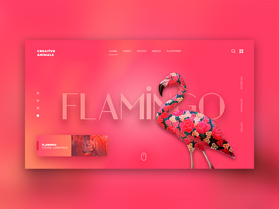 Creative Flamingo animal animation app application colorful creative design flamingo graphic trend typography ui user interface ux web web app web design web designer website website design