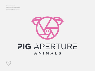 Pig Aperture Logo Design