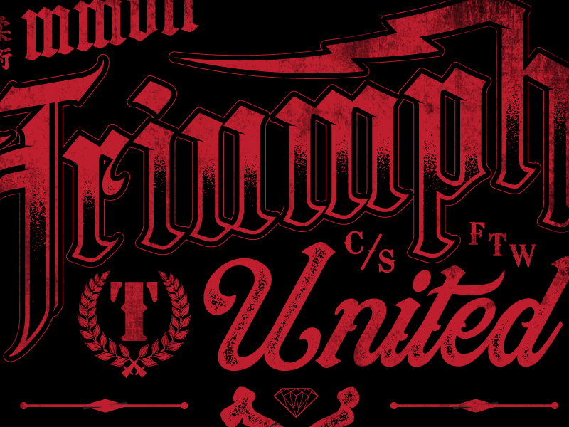 Triumph jiu jitsu mma tshirt modified type sports boxing muy thai lifestyle streetwear modified type