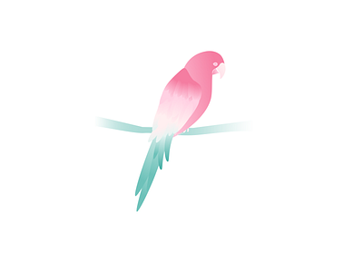 Macaw affinity design affinity designer bird color palette contest design illustration macaw vector