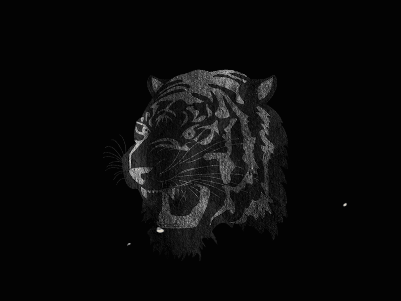 Tiger Gif design fun gif grain grit illustration kansascity loop motion music tiger vector