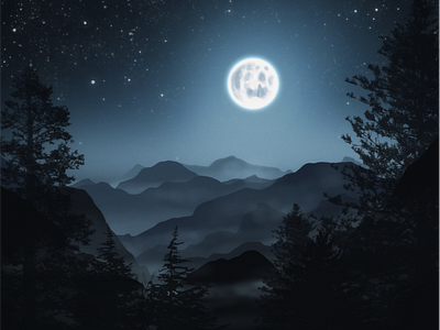 Cold Starry Night design illustration landscape moon mountains night procreate stars vector