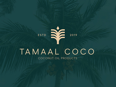 TAMAAL COCO LOGO DESIGN awesome creative design icon logo pinterest