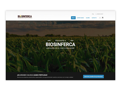 Website design for an agribusiness