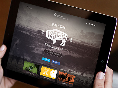 Smithsonian Zoo • 125 Years Bison bison interactive landing page smithsonian web zoo