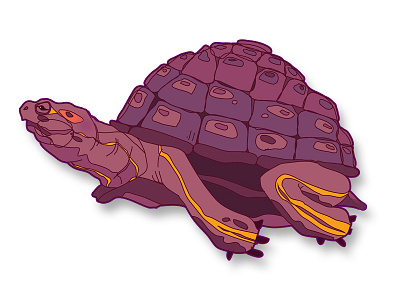 I Like Turtles fun fyresite illustration turtles