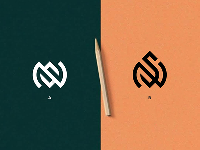 NS Monogram asia branding design europe icon illustration lettering logo logomark mark monogram texas vector