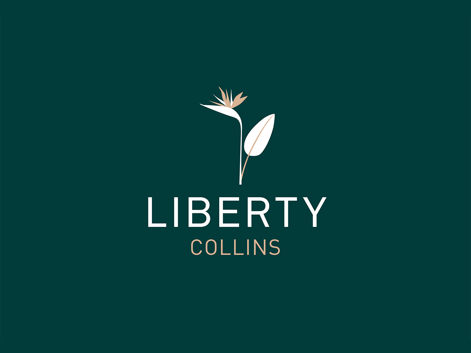 Liberty Collins Branding Concept brand identity branding design logo typography