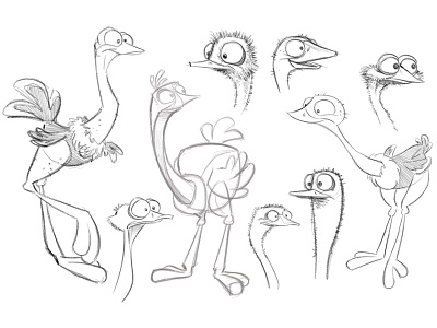 Ostrich Character Designs animation bird birds character design concept conceptual ostrich sketch