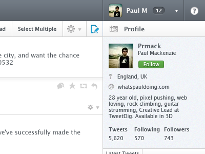 TweetDig Userarea - Profile View button icons twitter ui
