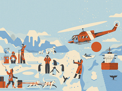 Arctic is getting crowded - still WIP (TM '22) animals character design editorial grain graphic design illustration