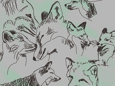 Foxy Sketches drawing foxes quick sketch sketching