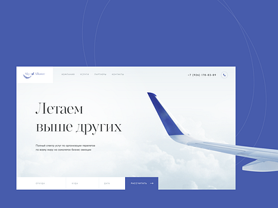 Sky Alliance - Landing page design avia creativity design homepage landing page plane private avia sky ui web webdesign website