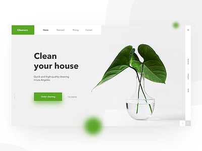 Daily UI main page cleaning home