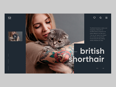 Daily UI Animals 2 animals cat creativity daily design dog homepage landing landing page minimal ui web webdesign website