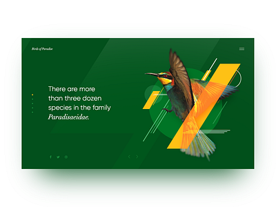 Ornithic Encyclopaedia Page creativity daily design homepage landing landing page ui web webdesign website