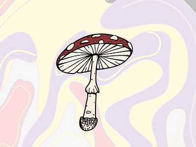 amanita muscaria