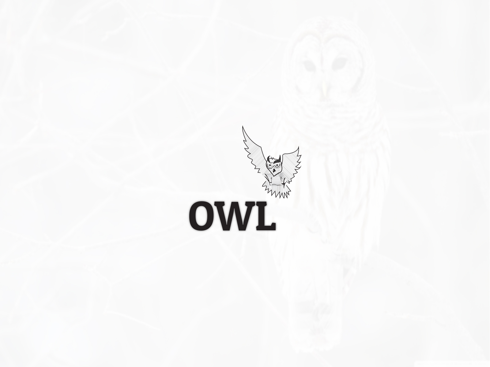 owl-logo-by-miftaul-jannat-on-dribbble