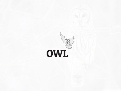 owl logo