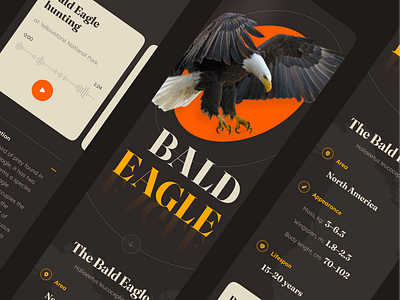 The Bald Eagle web design