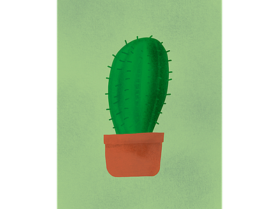 Cactus apple pencil cactus illustration green illustration art plant procreate