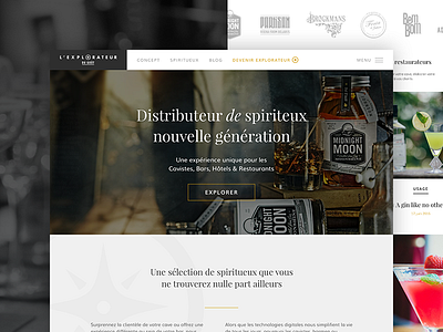 L'Explorateur du Goût 🍸 alcohol gin hubspot liquor rum sketch spirit tequila uiux vodka webdesign whiskey