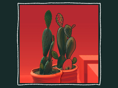 Ilustrated Photo Series - Clambering Cacti botanical cacti cactus digital digital painting flora illustration photo illustration photoshop sketch wacom