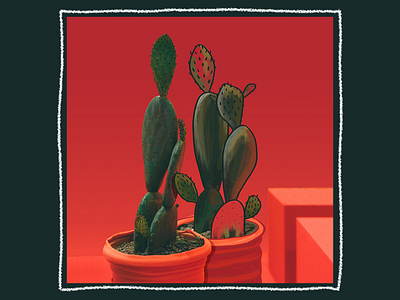 Ilustrated Photo Series - Clambering Cacti