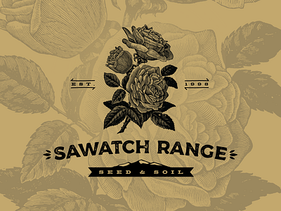 Sawatch Range Seed & Soil art brand branding character clean design flat graphic design icon identity illustration illustrator lettering logo minimal seed soil type typography vector
