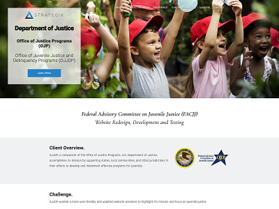 Strategix - Department Of Justice branding design identity ui ux web
