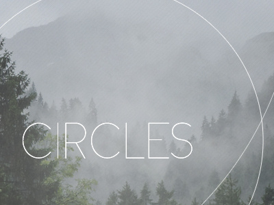 Circles Forrest circles graphic