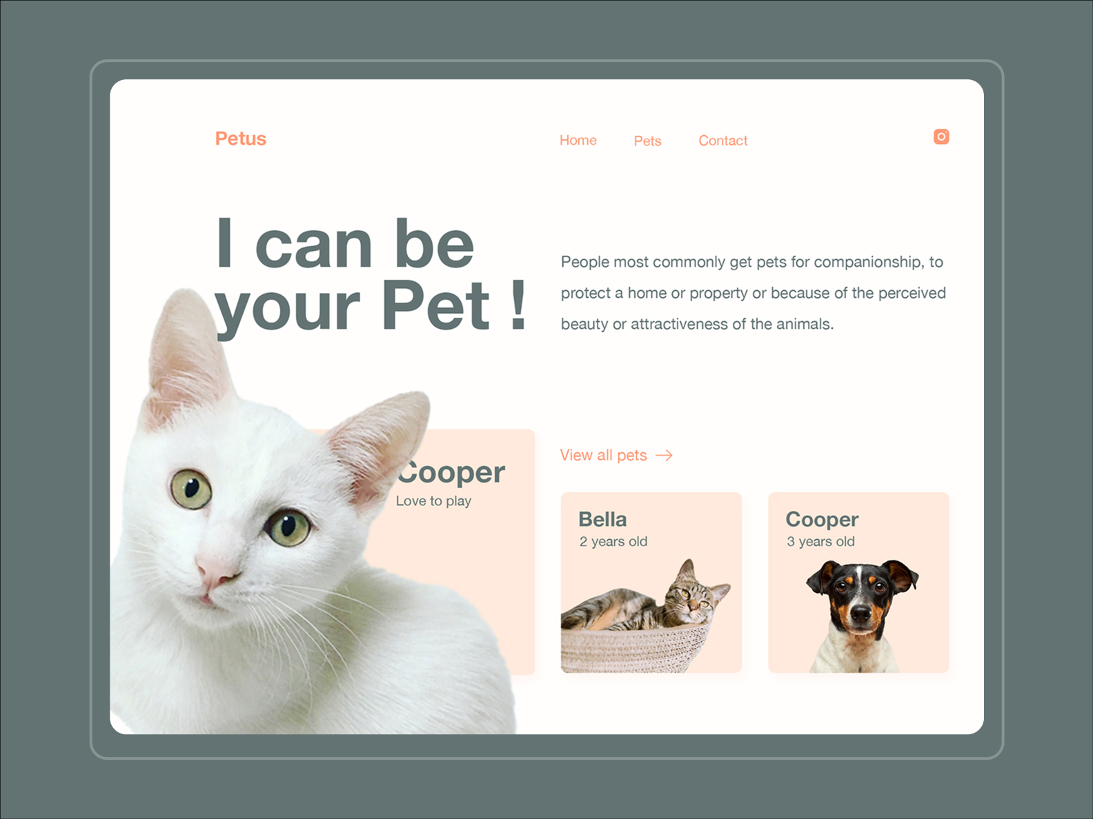 Petus - Pet Adaptation Website Freebies by Mohammad Ali on Dribbble