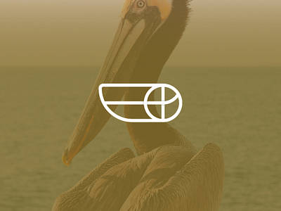 Dribbleican Logo ball basket birds dribble logo pelican soccer sports