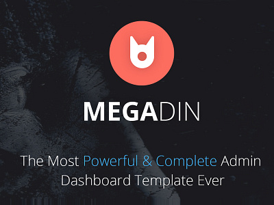 Megadin Admin Dashboard UI