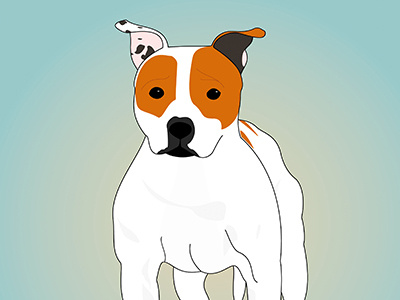 Nelson dog drawing illustrator staffie
