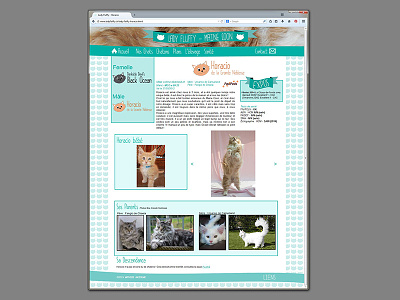 webdesign - cattery*3 adobe muse breeding cat contact page maine coon web webdesign