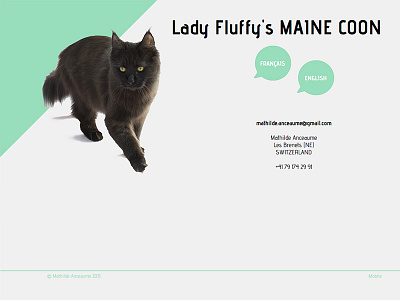 Ladyfluffy2015 adobe muse cat cattery design home page land page maine coon web webdesign wok in progress