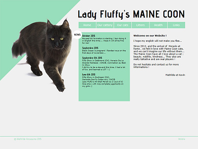Ladyfluffy2015 adobe muse cat cattery design home page land page maine coon web webdesign wok in progress