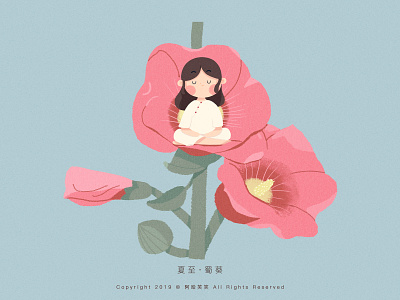 夏至 · 蜀葵 cute flower girl illustration summer