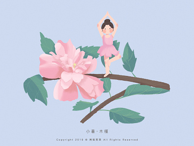 小暑 · 木槿 cute flower girl illustration summer