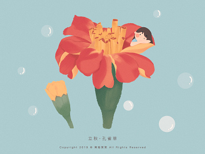 立秋 · 孔雀草 autumn cute flower girl illustration