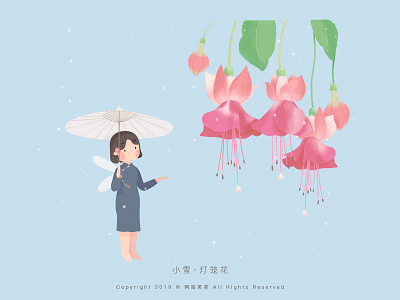 小雪 · 灯笼花